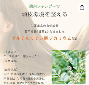 アミノ酸シャンプー 爽快柑について